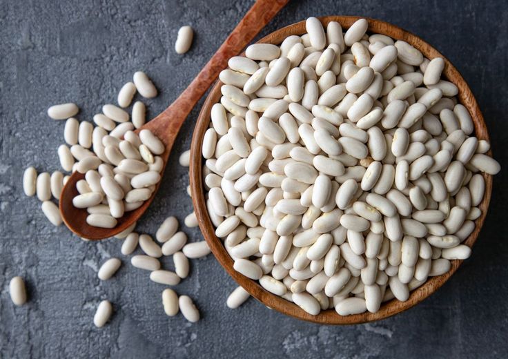 Wholesale Navy Beans Bulk Supplier with Competitive Pricing & Efficient Logistics